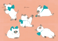 しゃむ達