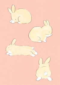 のんびりウサギ