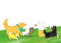 ボール投げと犬